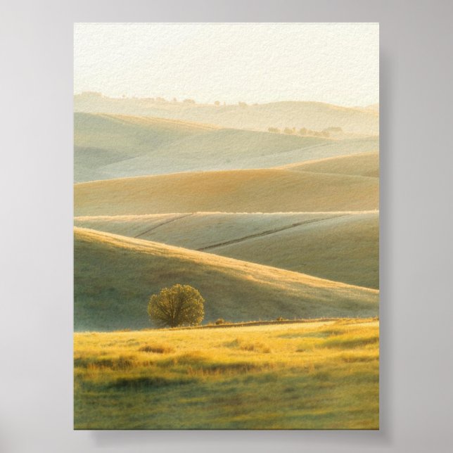 Poster Golden Sunrise Over Rolling Hills (Devant)