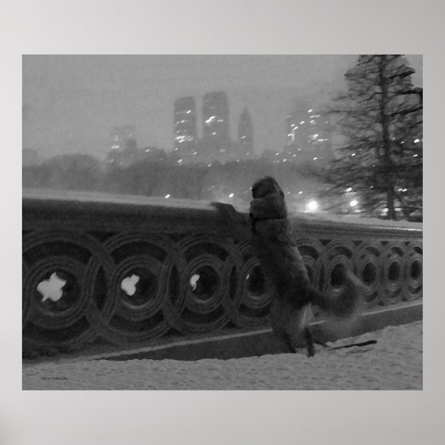 Poster Golden sur Bow Bridge en Neige (Devant)