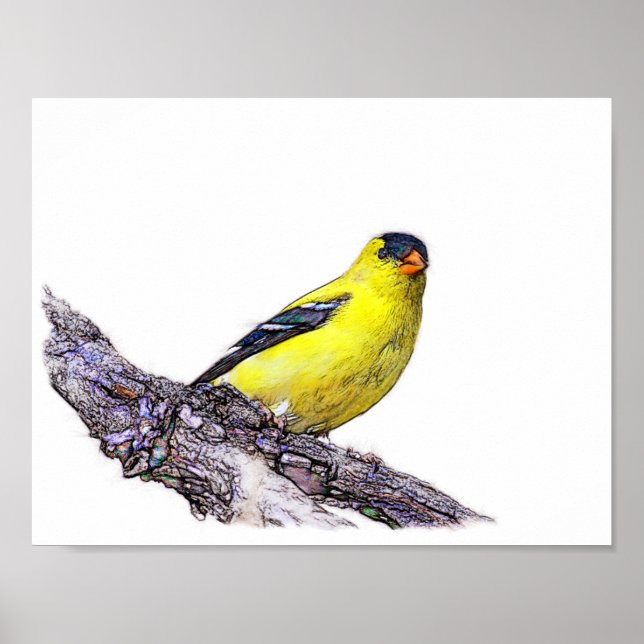 Poster Goldfinch (Devant)