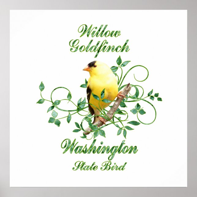 Poster Goldfinch Washington State Bird (Devant)