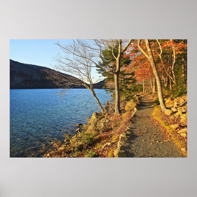 Poster Golds & Blues (Devant)