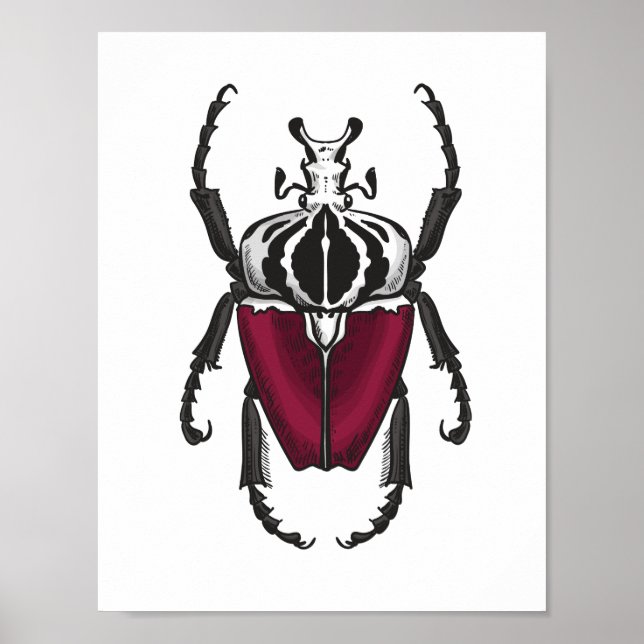 Poster Goliath (Devant)
