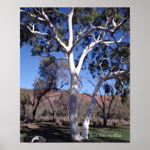 Poster Gomme fantôme en Alice