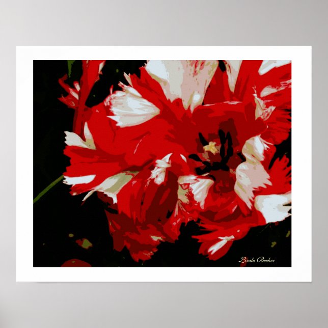 Poster Good Morning Starshine par Linda Becker (Devant)