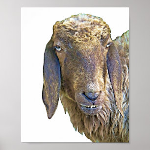 Poster Goofy Sheep Visage de ferme d'art animal