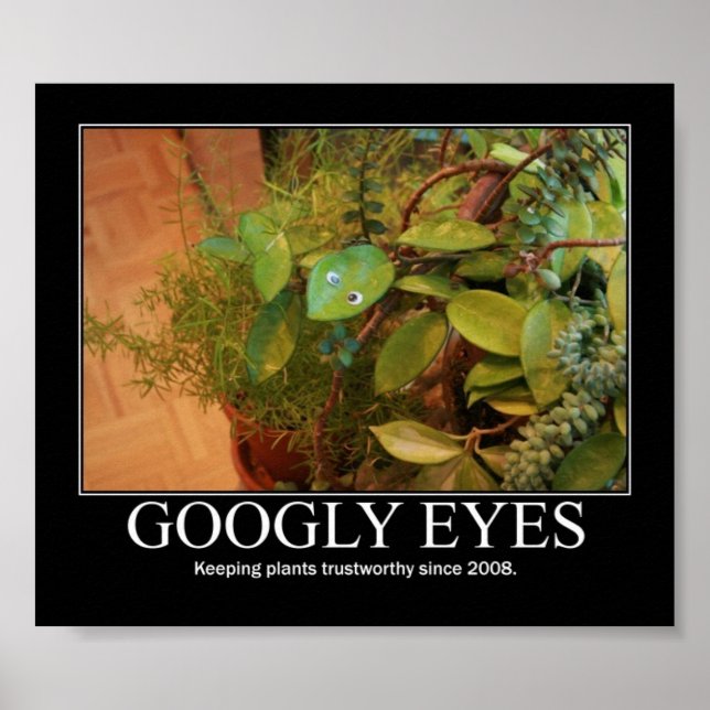 Poster Googly Eyes (Devant)