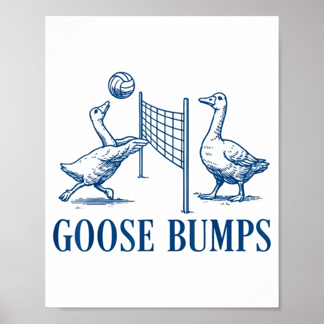 Poster Goose Bumps Volleyball  (Devant)