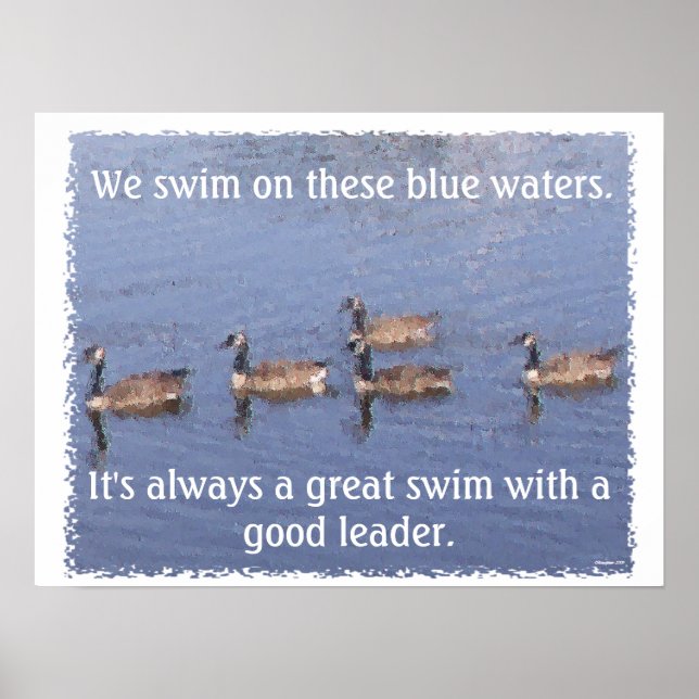 Poster Goose Lake (Devant)