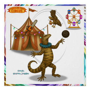 Poster Gordy, jongleur de goannas