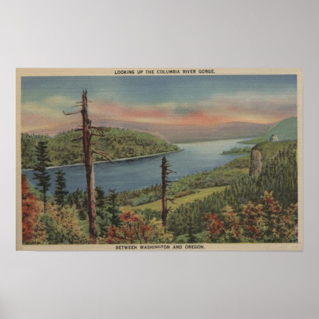 Poster Gorge Columbia River (Devant)