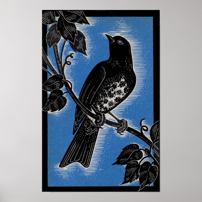 Poster gorge noire avec bleu (Devant)