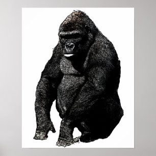 Poster Gorilla