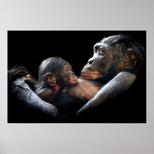 Poster Gorilla