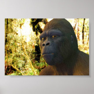 Poster Gorilla 2