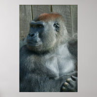 Gorilla Lope