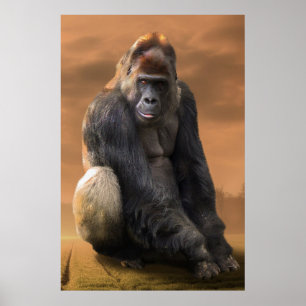 Poster Gorilla, retour en argent au crépuscule