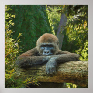 POSTER GORILLA "SAUVER NOS ESPÈCES"
