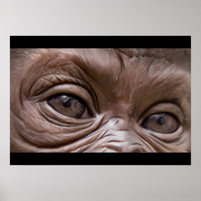Poster gorille (Devant)