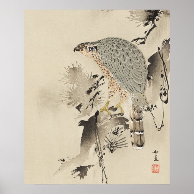 Poster Goshawk asiatique - 1890 (Devant)