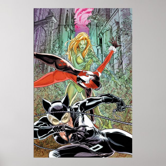 Poster Gotham City Sirens Cv11 (Devant)