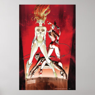 Poster Gotham City Sirens Cv1.2ème