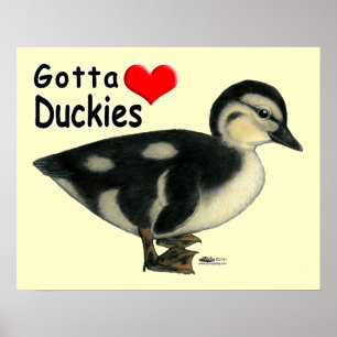 Poster Gotta Love Duckies