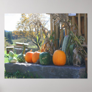 Poster Gourds And Pumpkins Farm Stand Fall