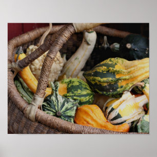 Poster Gourmes Colorées En Panier D'Osier Automne