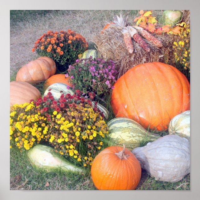 Poster Gourmets et Citrouille (Devant)