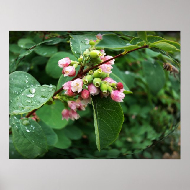 Poster gouttes de pluie (Devant)