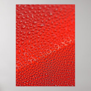 Poster Gouttes de rosée matinale