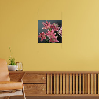 Poster Grace rayonnante : Lys roses en fleur