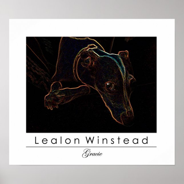 Poster Gracie (Devant)