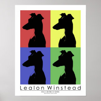 Poster Gracie Dreams de