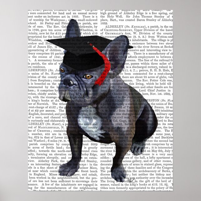Poster Graduation French Bulldog (Devant)