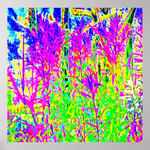 Poster Graffiti n Plants : Humber River Bridge Toronto