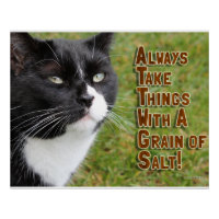 Grain De Sel Chat Motivationnel Slogan Photo