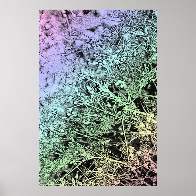 Poster Graines multicolores (Devant)