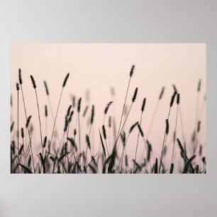 POSTER GRAISSE VERTE