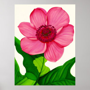 Poster Grand anémone rose avec Feuilles vert émeraude