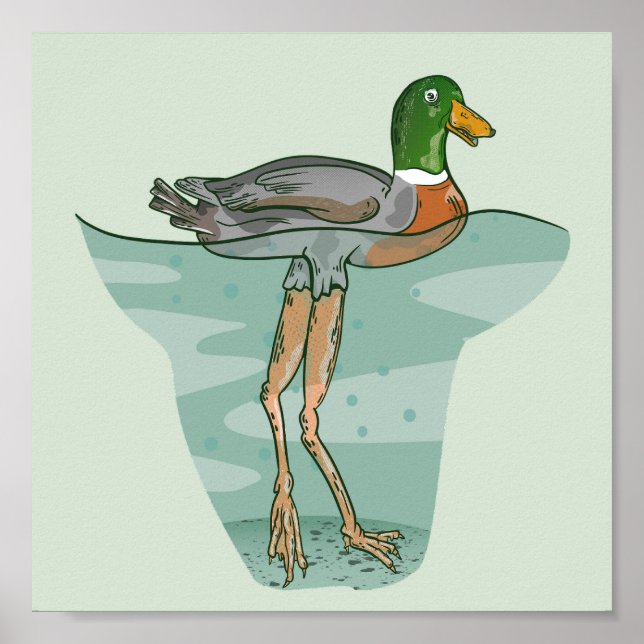 Poster Grand canard aux jambes longues (Devant)