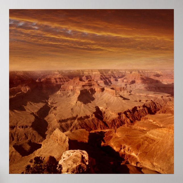 Poster Grand Canyon (Devant)