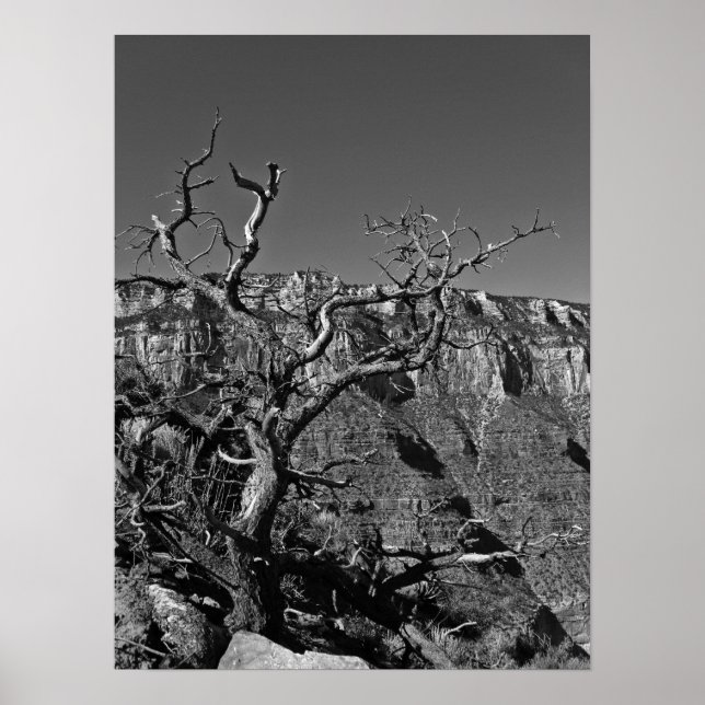 Poster Grand Canyon #1 (Devant)