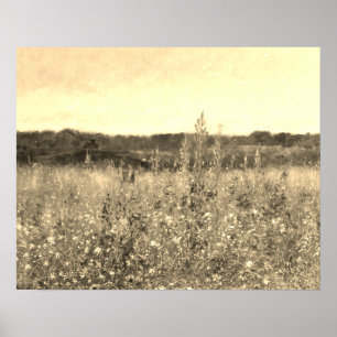 Poster Grand champ Vintage d'or botanique vert floral