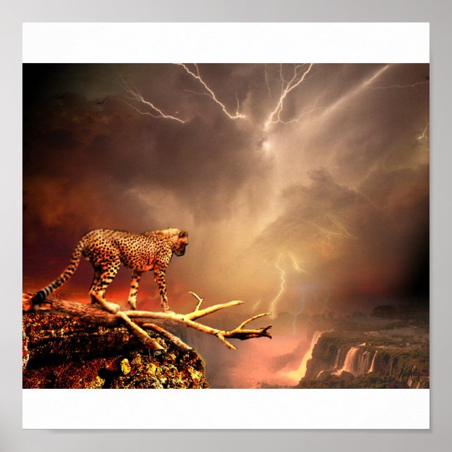 POSTER GRAND CHAT (Devant)