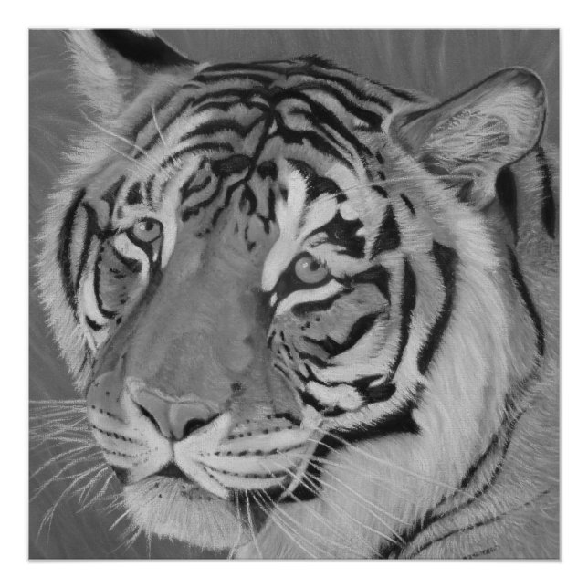 Poster grand chat noir et blanc peinture de la faune du t (Devant)