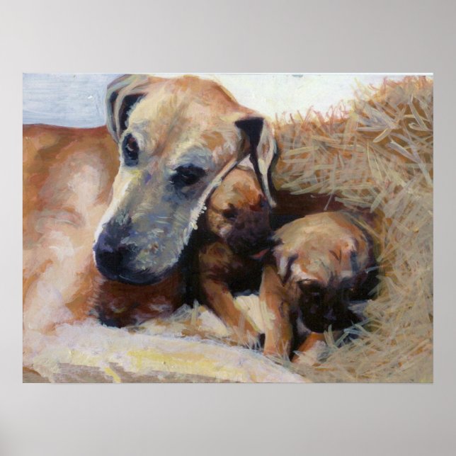 Poster Grand Dane Portrait de chien (Devant)