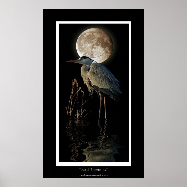 Poster GRAND HERON BLEU, REEDS & MOON Art Imprimer (Devant)