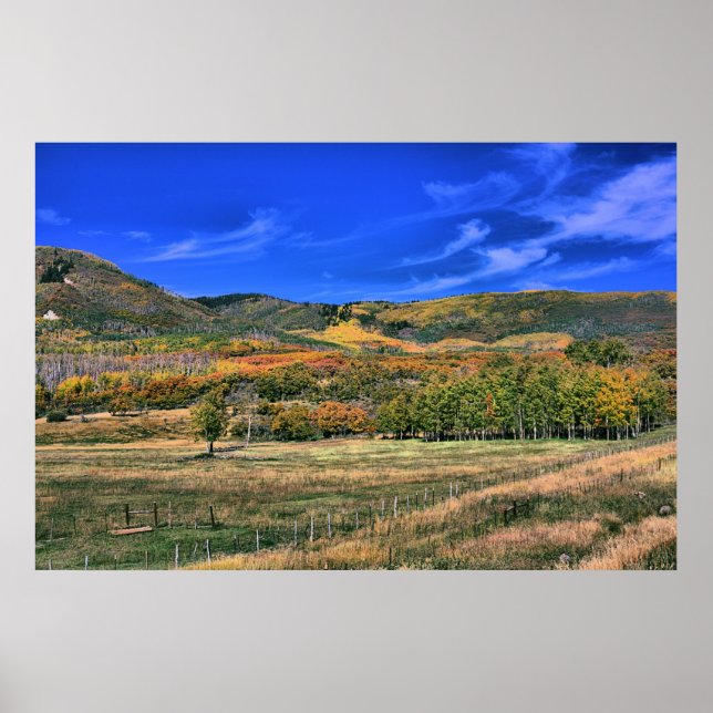 Poster Grand Mesa, Colorado en automne (Devant)