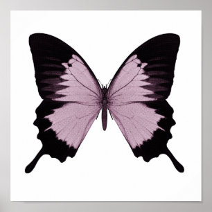 Poster Grand papillon rose et noir - Personnalisez